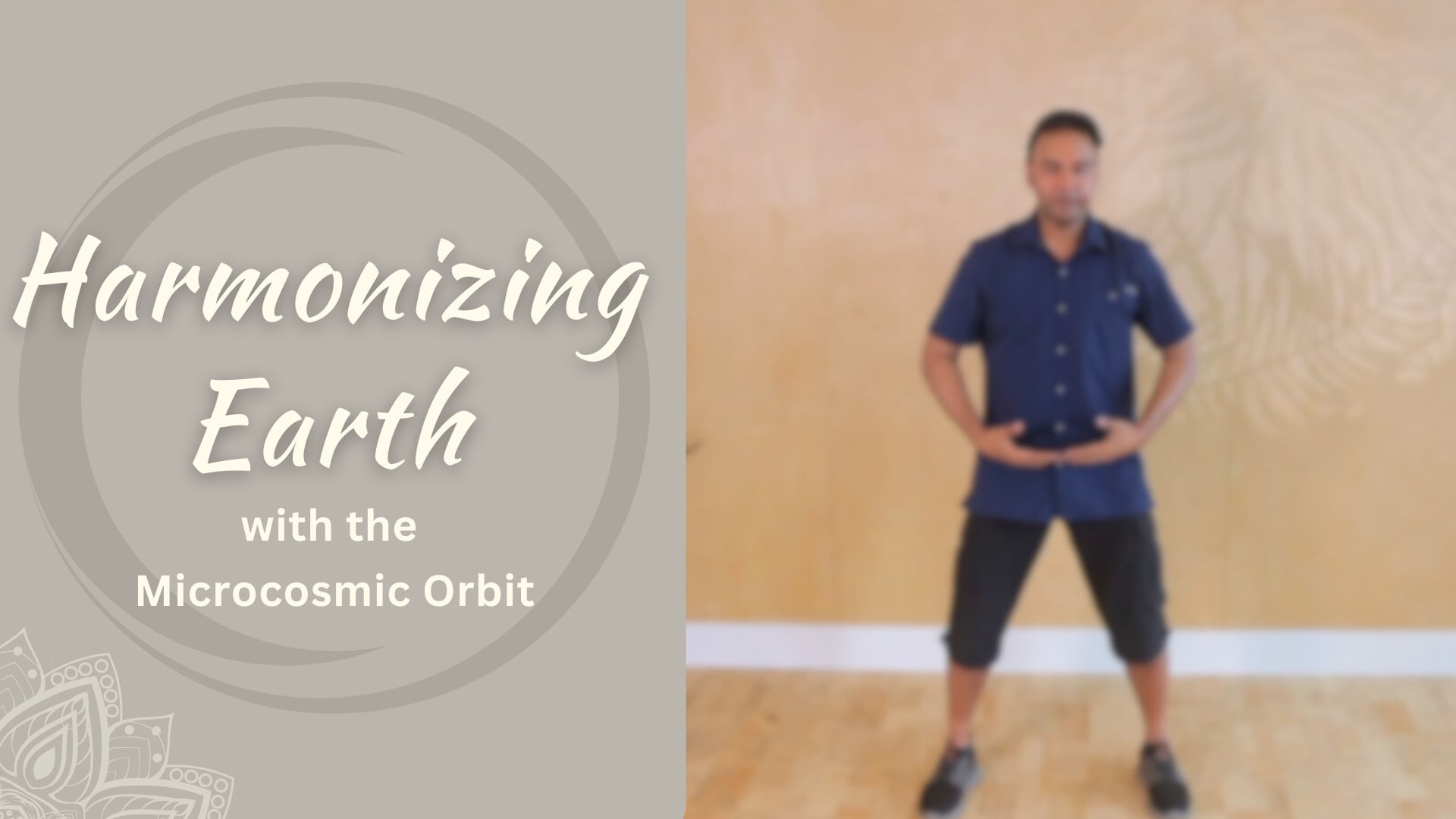 Harmonzing Earth - Microcosmic Orbit (19 mins)