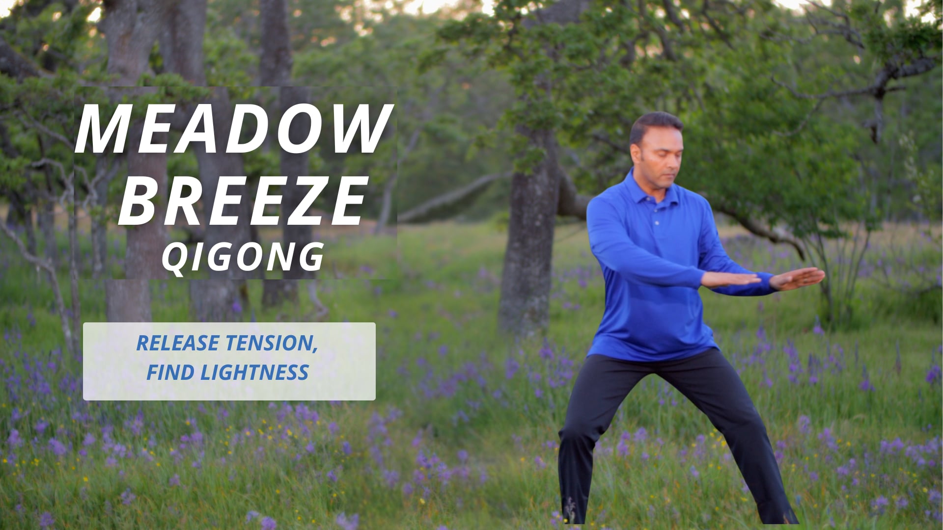Meadow Breeze Qigong (15 mins)