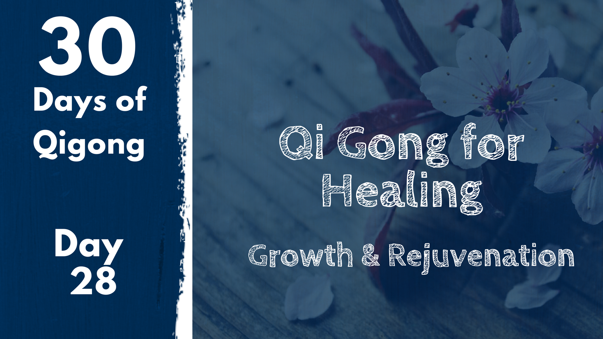 Day 28 Qi Gong for Healing (25 mins)