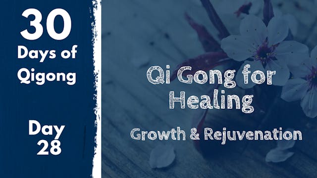 Day 28 Qi Gong for Healing (25 mins)