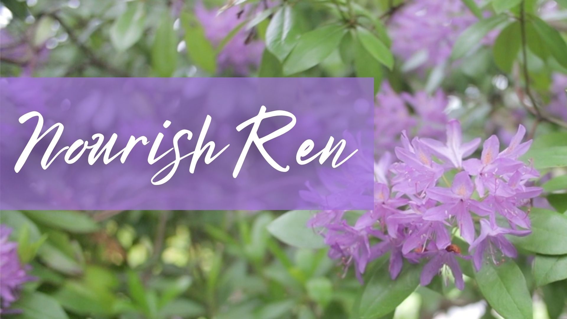 Nourish Ren (28 mins)