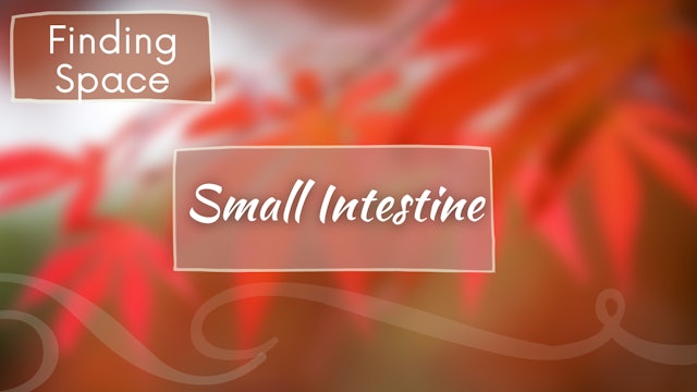 Small Intestine Meridian - Finding Space (20 mins)