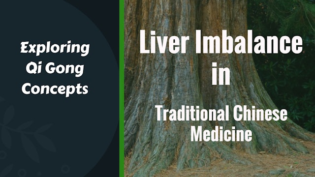 Liver Imbalance in Traditional Chinese Medicine (8 mins)
