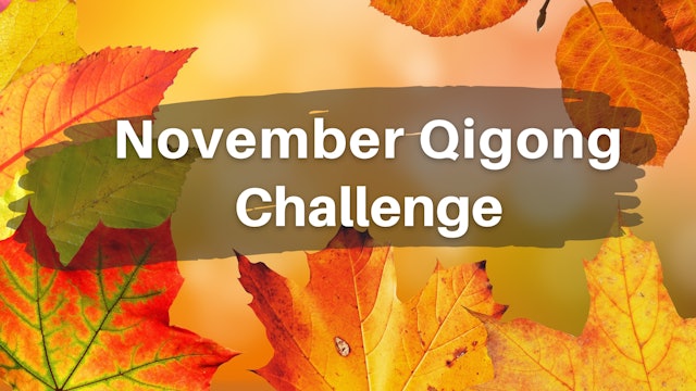 November Qigong Challenge