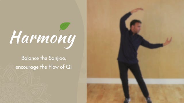 Harmony (23 mins)