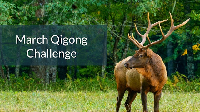 March Qigong Challenge (2 mins)