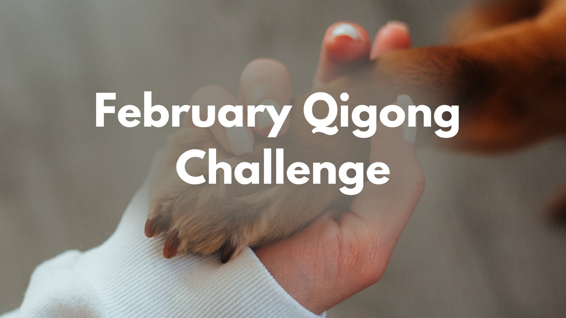 February Qigong Challenge