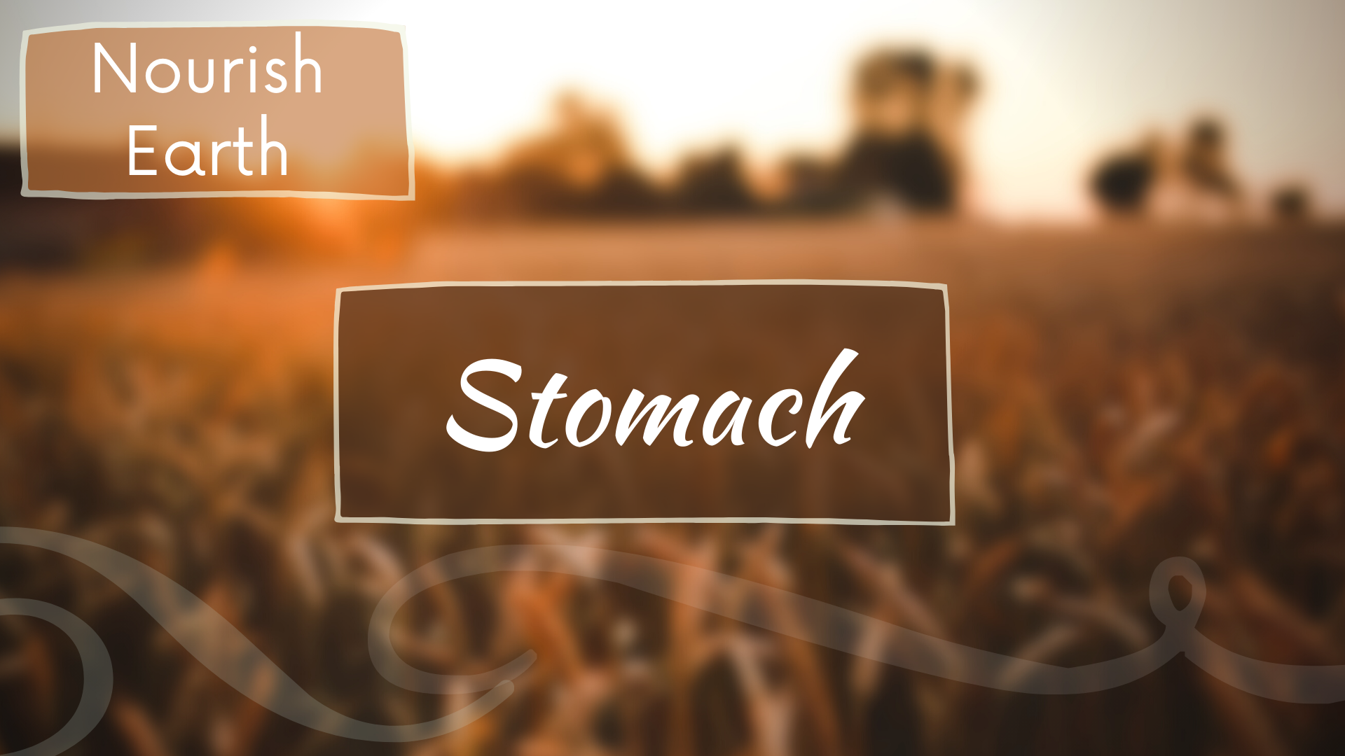 Stomach Meridian - Nourish Earth (24 mins)