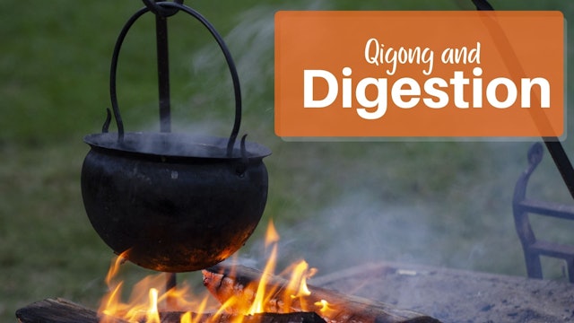 Qigong and Digestion (16 mins)