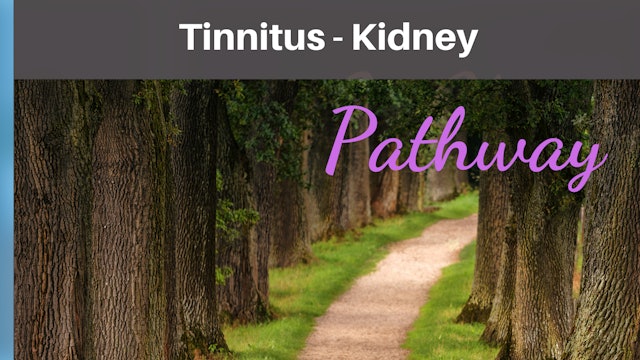 Tinnitus Kidney Qi-T-Sheet
