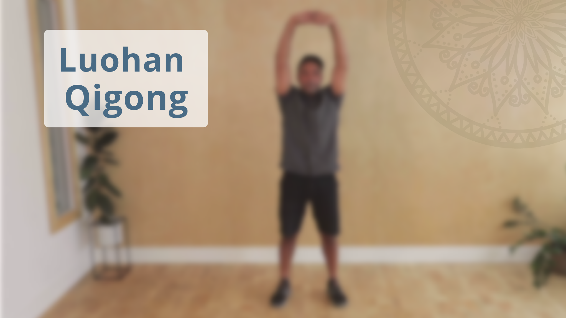 Luohan Qigong Routine (19 Min) - Long Practices (all Routines Over 15 ...