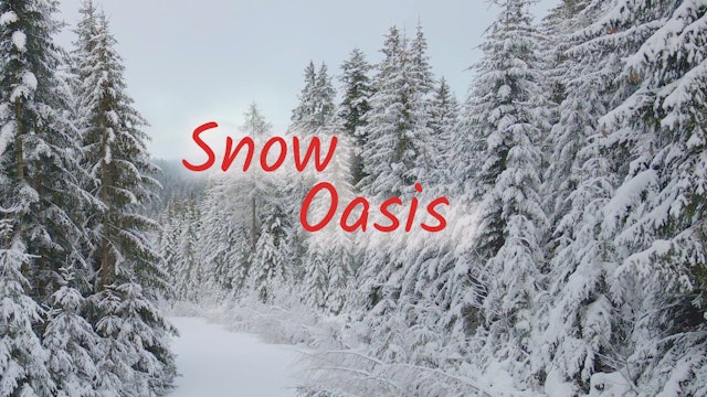 Snow Oasis (12 mins)