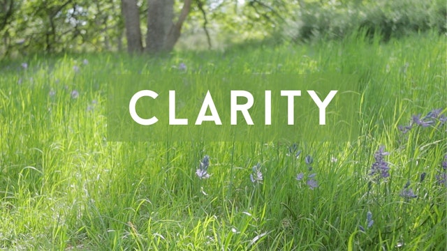 Clarity (28 mins)