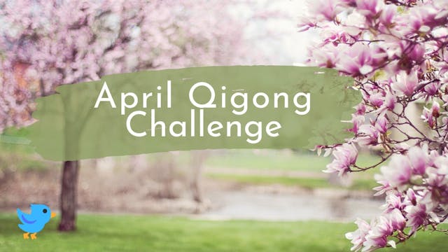 April Qigong Challenge (3 mins)