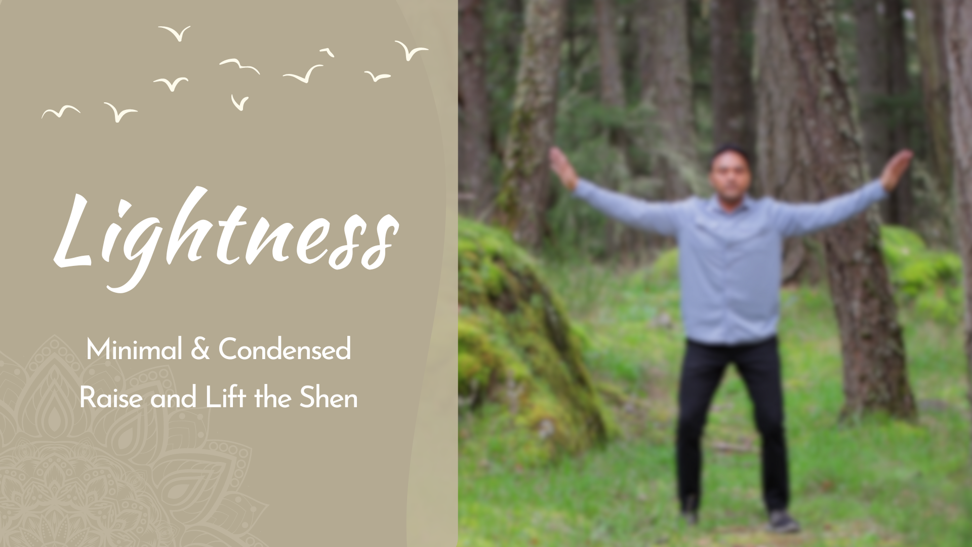Lightness - Spacious Condensed - Lift the Shen (20 mins)