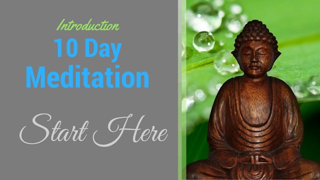 Welcome to the 10 Day Meditation Challenge! (start here) 10 mins