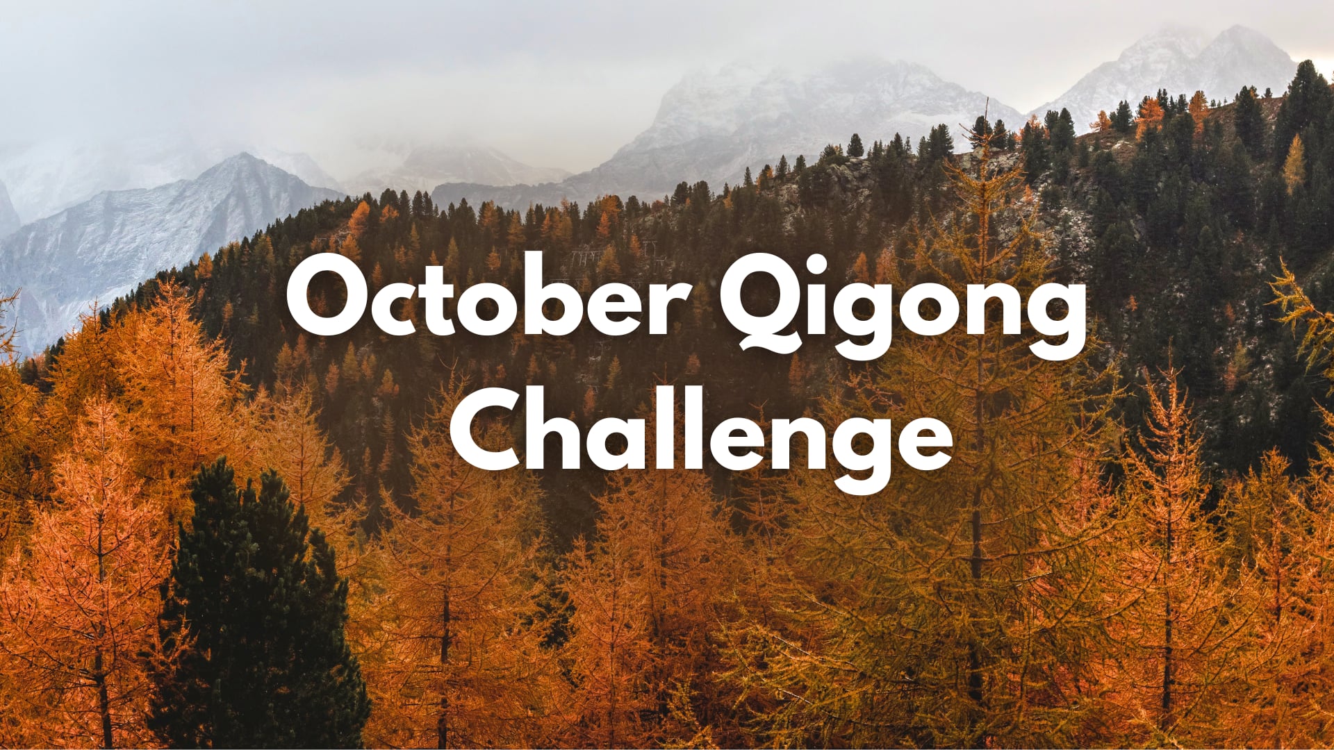 October Qigong Challenge (3 min)