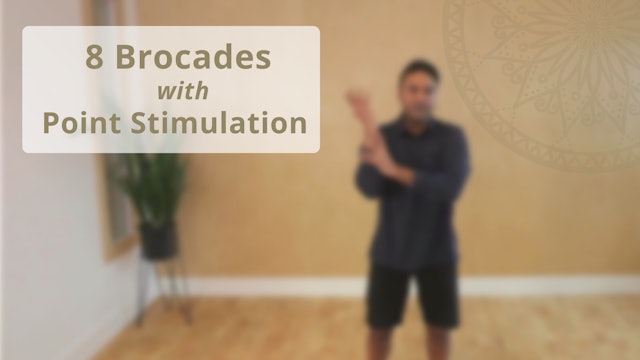 8 Brocades - with Point Stimulation (26 mins)