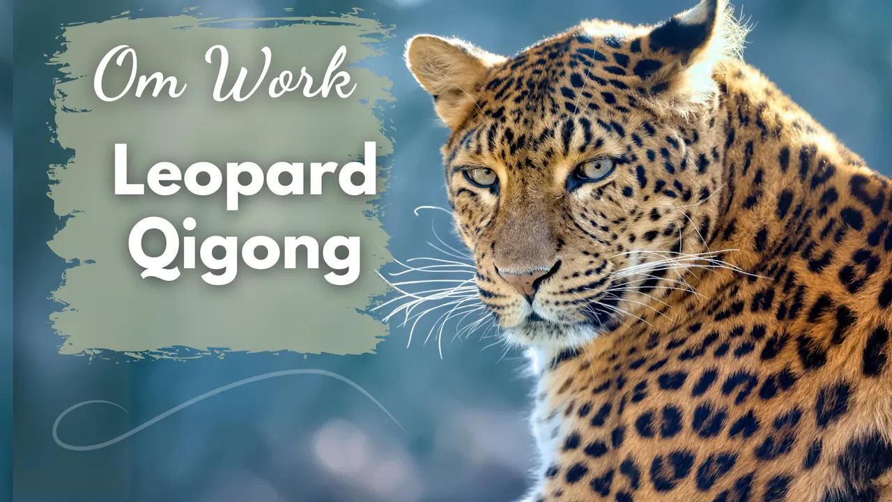 Om Work - Leopard Qigong (8 mins) - Om Work - Qi Gong for Vitality