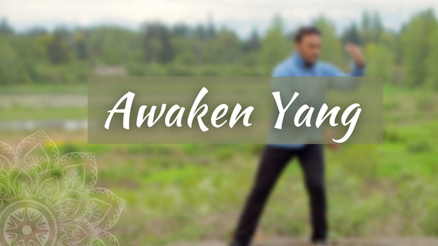 Awaken Yang (17 mins)