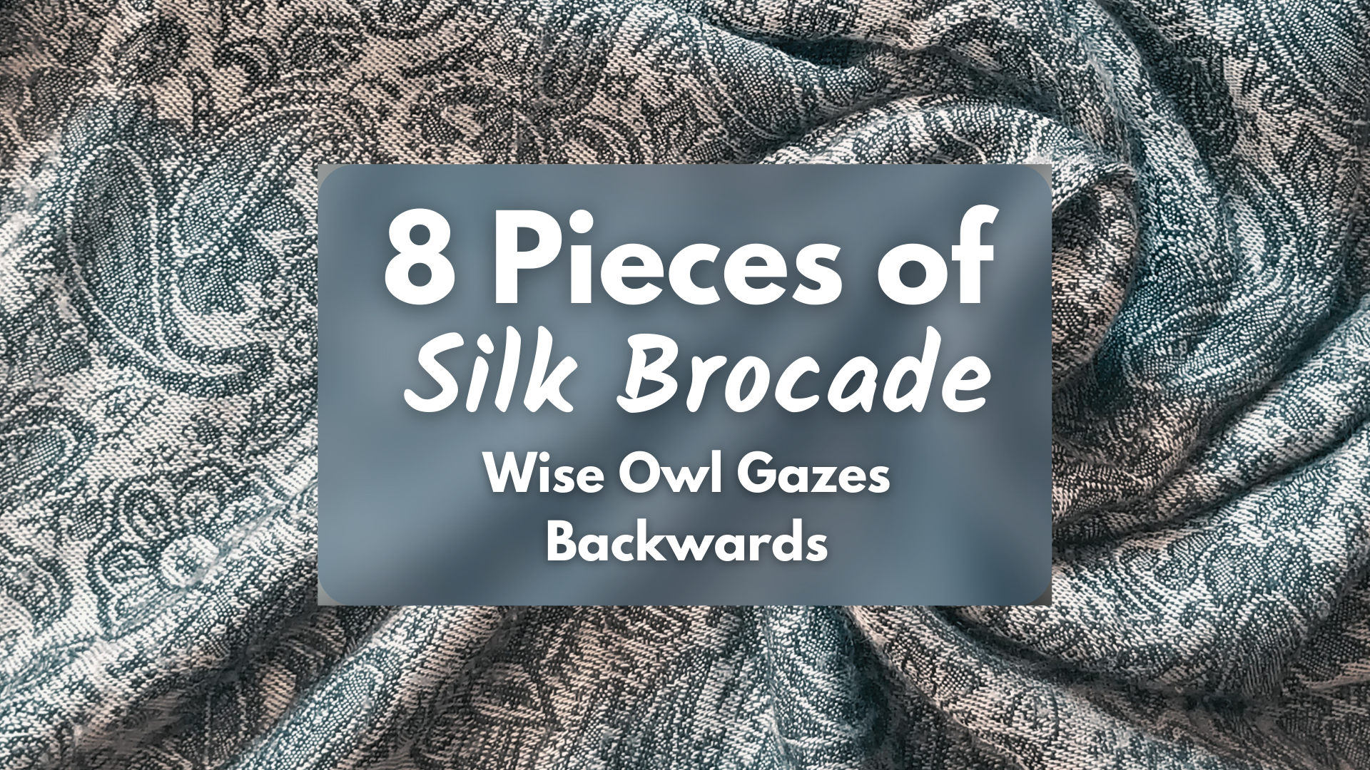 Wise Owl Gazes Backwards (5 mins)