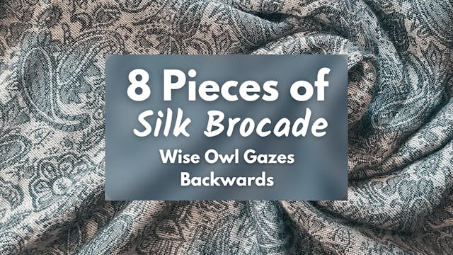 Wise Owl Gazes Backwards (5 mins)