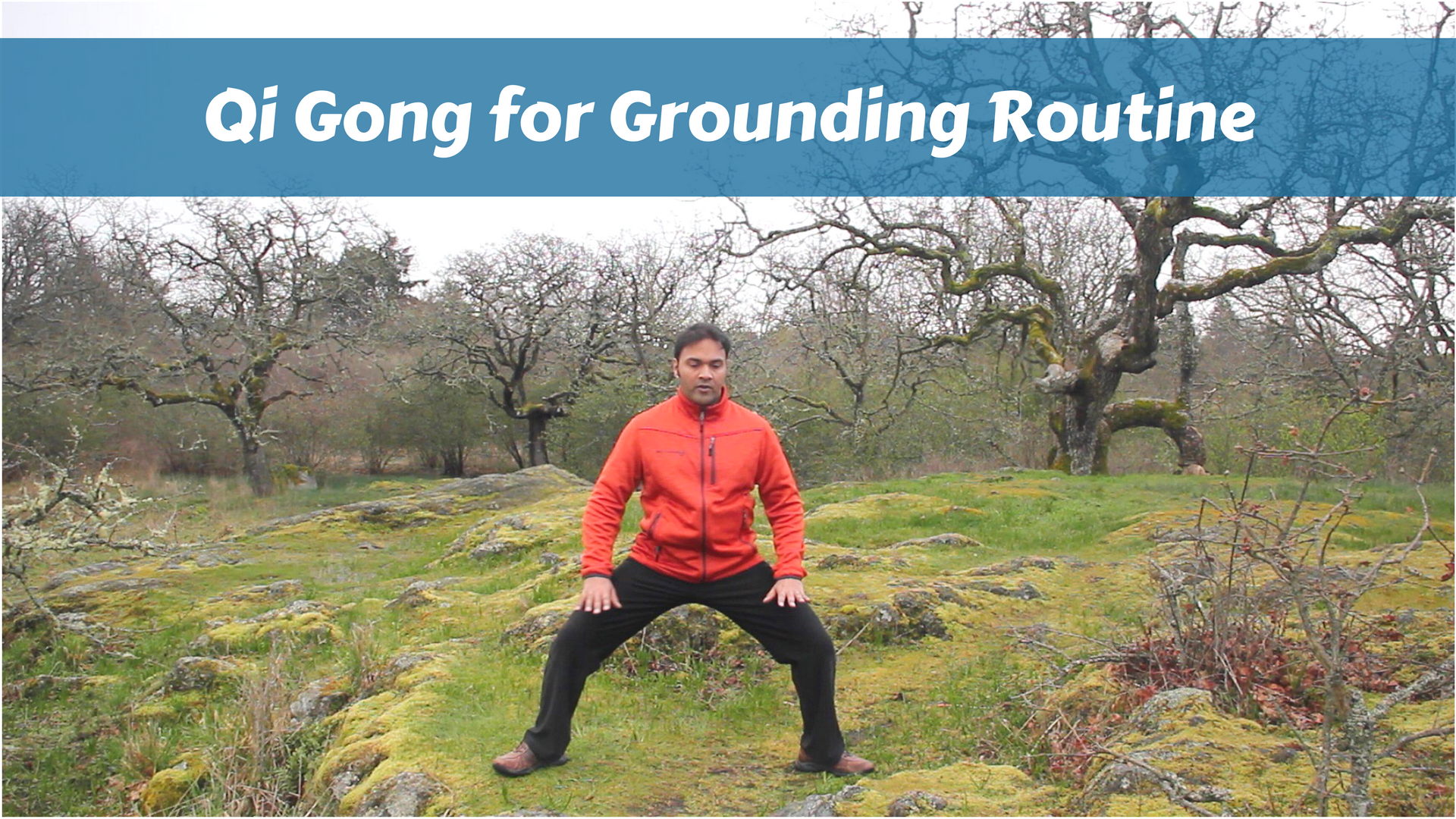 Qigong for Grounding Routine (10 mins)