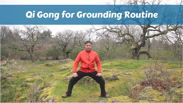 Qigong for Grounding Routine (10 mins)