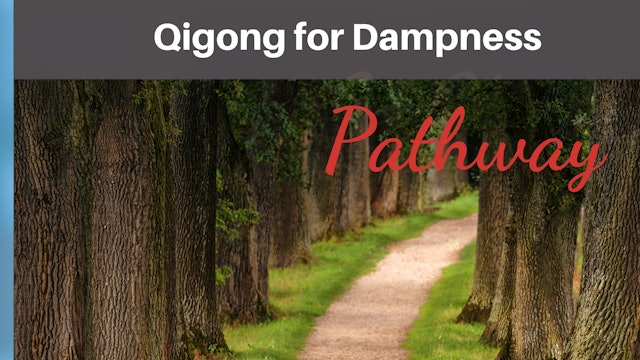 Qigong for Dampness.pdf