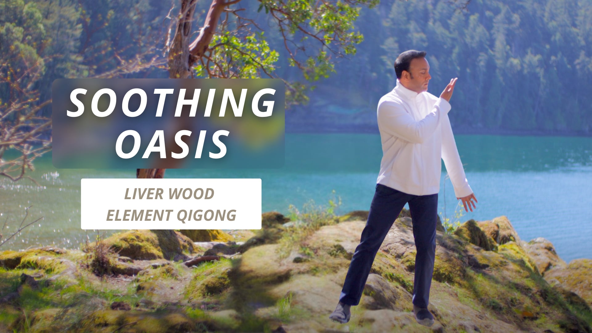Soothing Oasis - Liver Wood Qigong (22 mins)