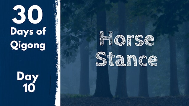 Day 10 Horse Stance (21 mins)