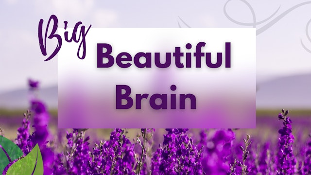 Big Beautiful Brain (31 mins)