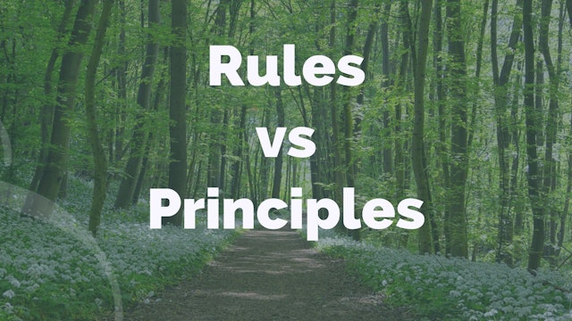 Universi Qi Episode 25.5 - Rules vs Principles (3 mins)