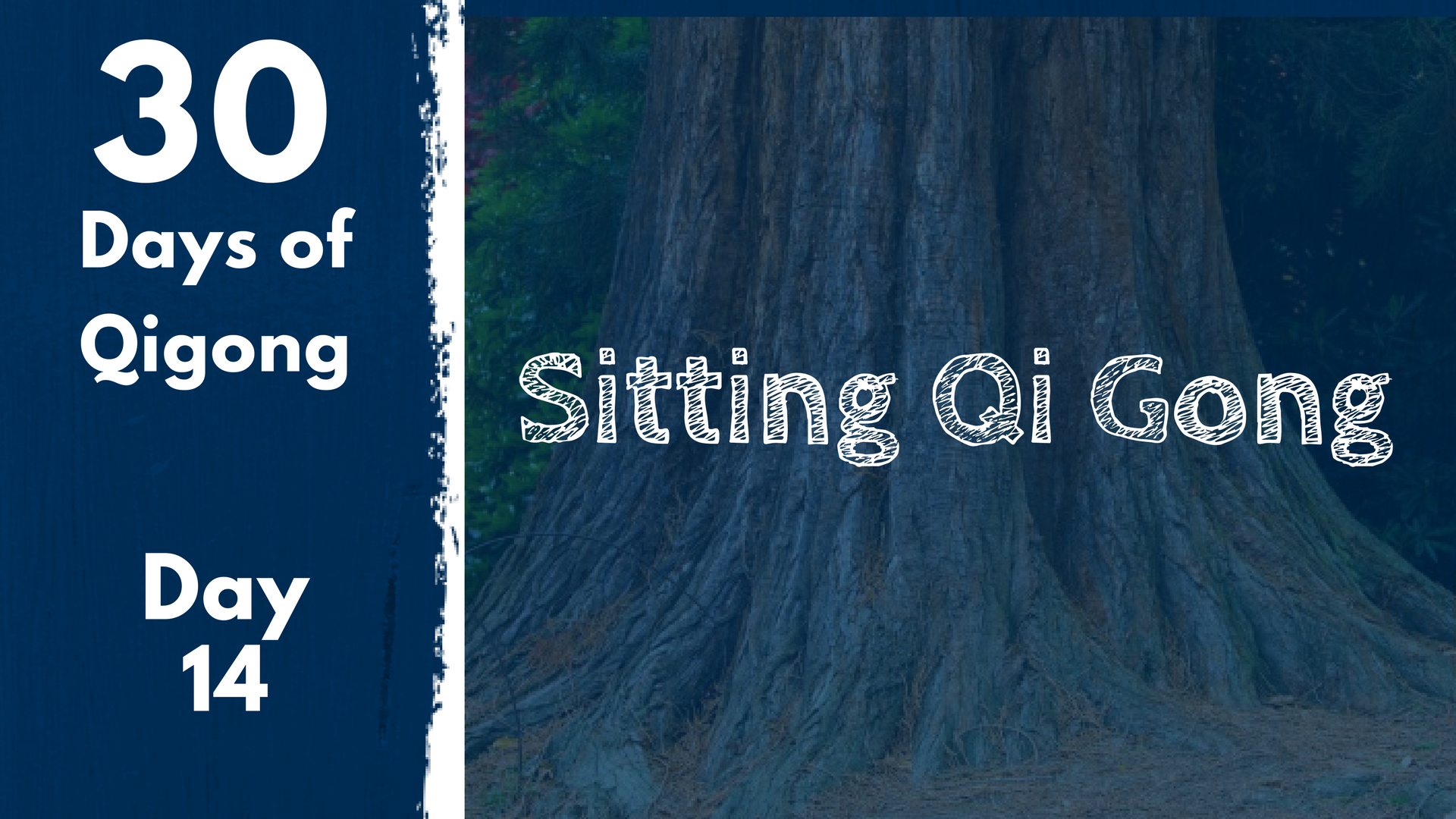 Day 14 Sitting Qi Gong (21 mins)