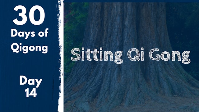 Day 14 Sitting Qi Gong (21 mins)