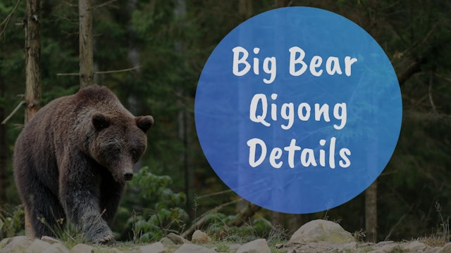 Big Bear Qigong Details (9 mins)