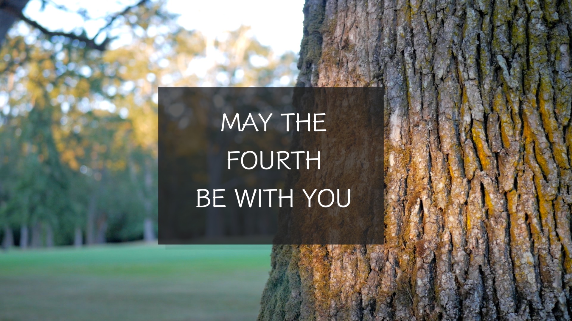 May the Fourth Be With You :)  (24 min)