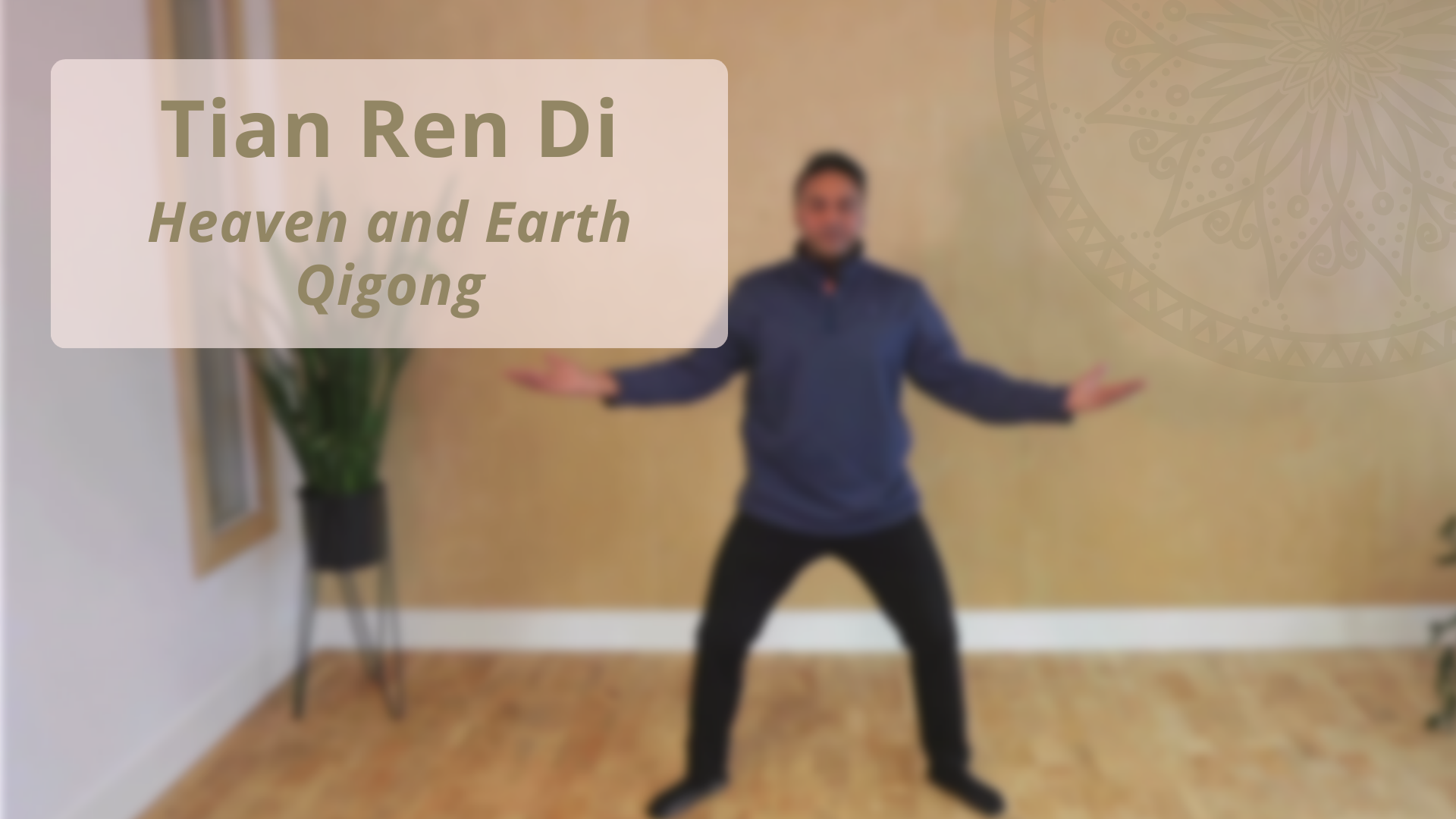 Tian Ren Di - Heaven And Earth Qigong (23 Mins) - Long Practices (all ...