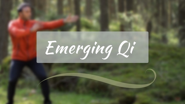 Emerging Qi (29 mins)