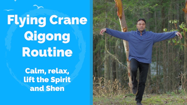 Flying Crane to Relax the Neck and Shoulder, and Lift the Spirits