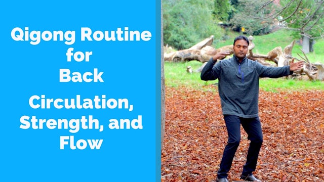 Qigong for Back Strength and Circulation (11 mins)