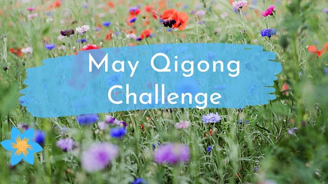May Qigong Challenge (2 mins)