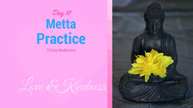 Day 10 Meditation - Metta (7 mins)