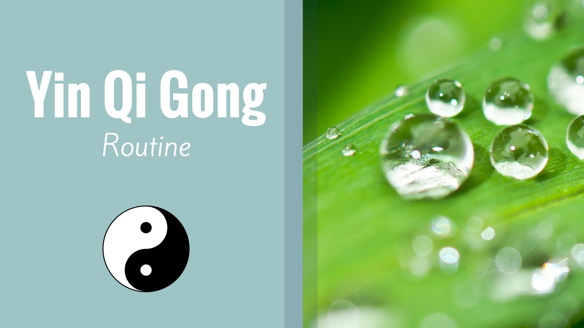 Yin Qigong Routine (12 mins)