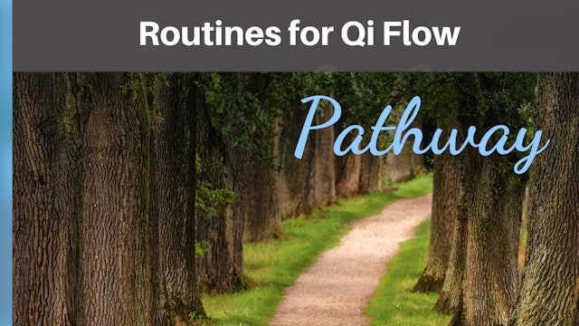 Routines for Qi Flow.pdf