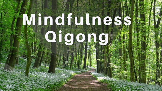 Mindfulness Qigong (20 mins)