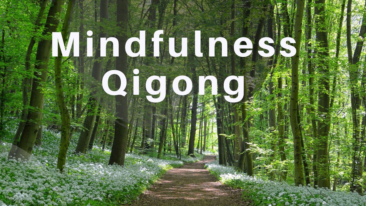 Mindfulness Qigong (20 mins) - Long Practices (all routines over 15 ...