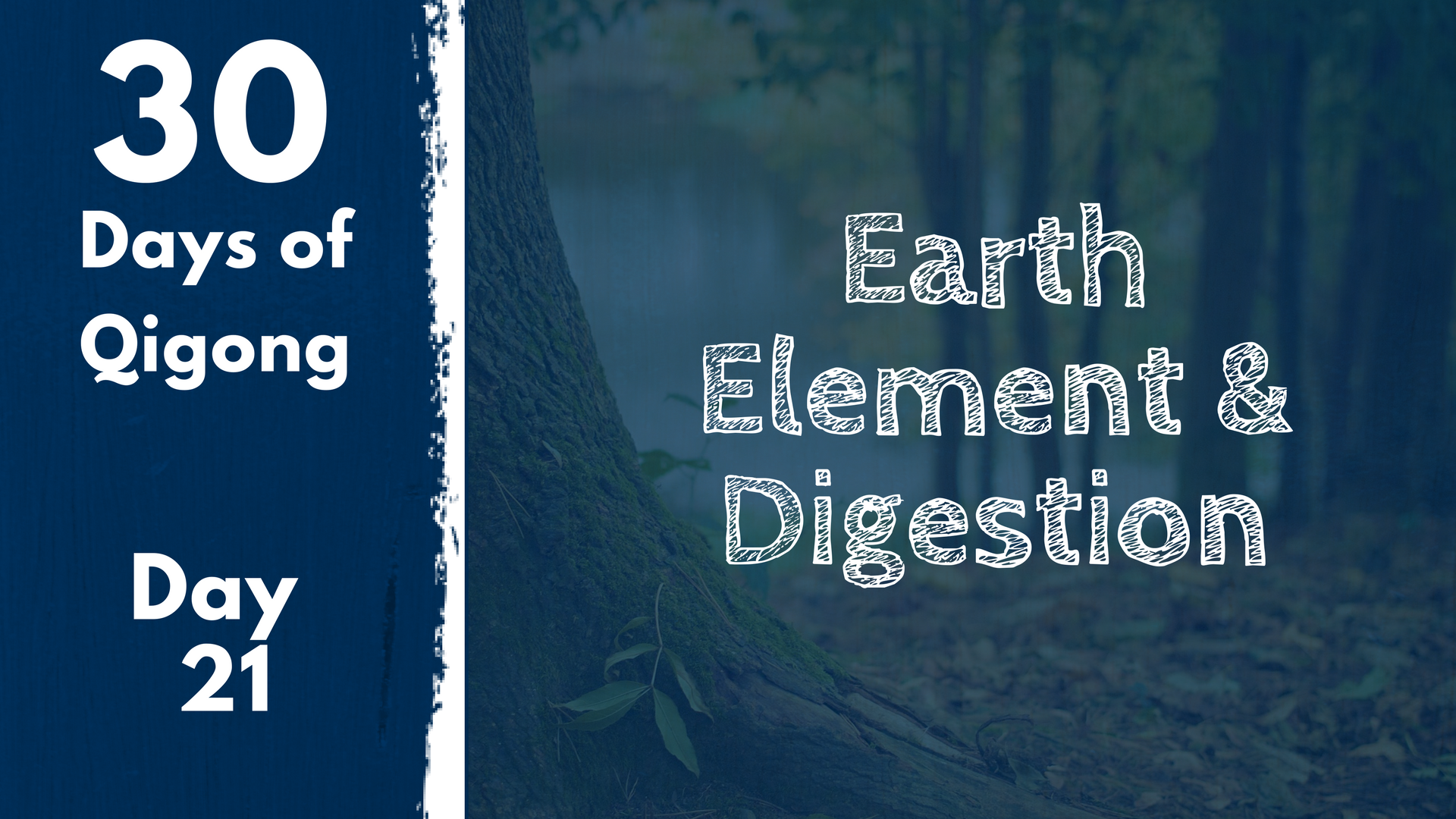 Day 21 Earth Element and Digestion (20 mins)