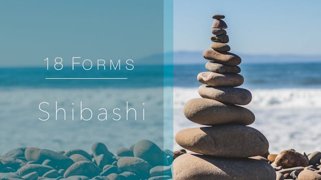 18 Forms - Shibashi (38 mins)
