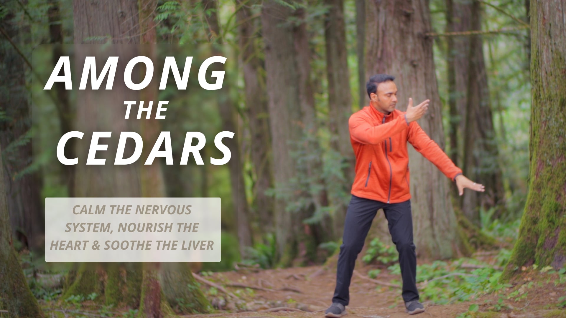 Among the Cedars (24 mins)